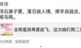 张一山团队爆料卓伟视频,揭秘背后真相