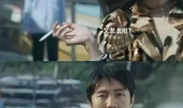 圈内爆料周星驰结婚视频,独家结婚视频曝光引热议